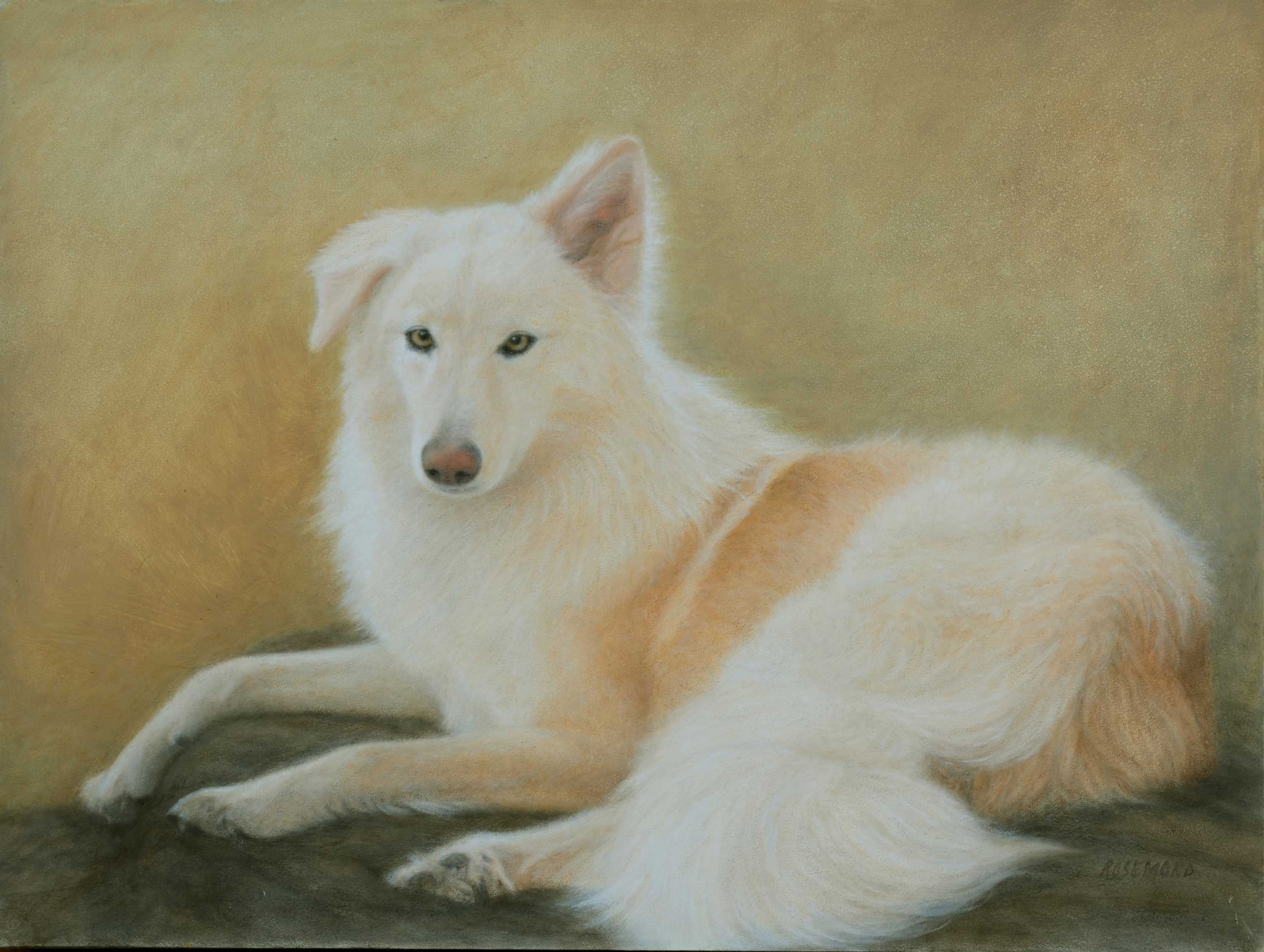  Beautiful Bella, 12 x 16 Sold 